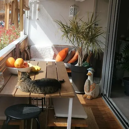 Cosy * Fréjus